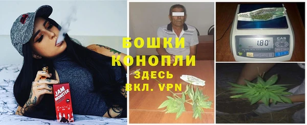 мдпв Вязьма