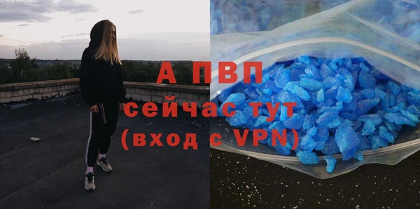 мдпв Вязьма