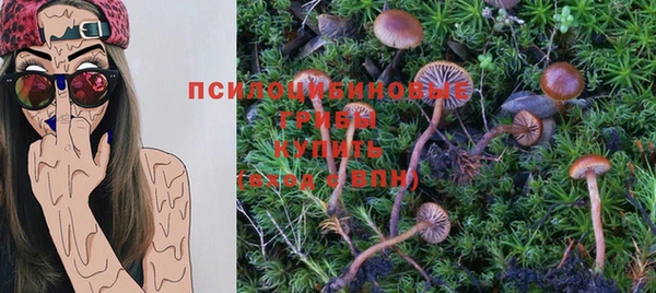 каннабис Вяземский