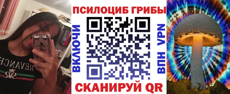 где найти   Ермолино  Галлюциногенные грибы Psilocybine cubensis 